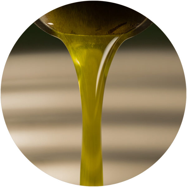 Olio 5 lt (raccolta 2025)