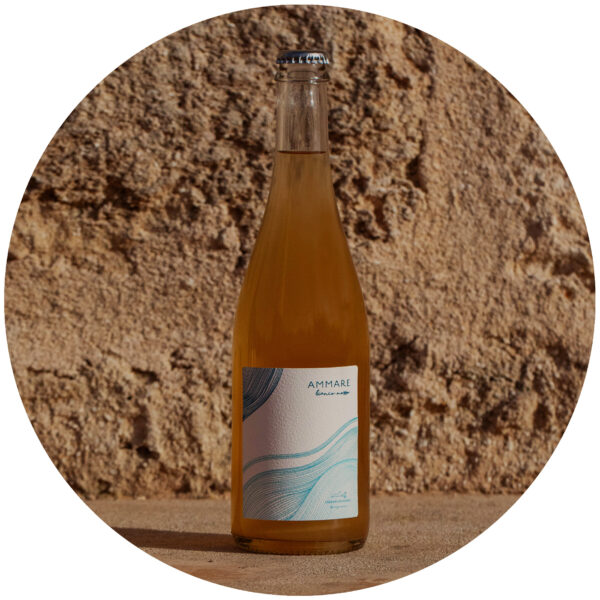 Vino Ammare 2023 Bianco Mosso